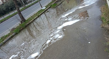 Mudanya’da zehirli su paniği