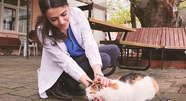 Gürsu’nun Yaramaz ‘Karahıdır’ı