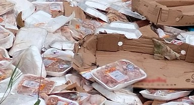 Hayvanseverleri ayağa kaldıran görüntüler! Kilolarca tavuğu ormana attılar