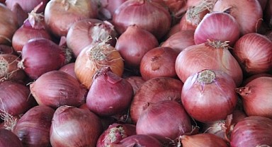 Tarım ve Orman Bakanlığı’ndan soğan açıklaması