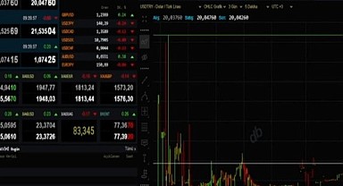 Dolar haftaya 20 TL’nin üzerinde başladı