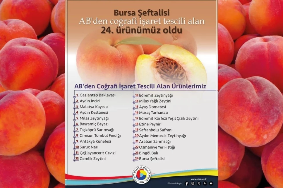 Avrupa Birliği’nden Bursa şeftalisine coğrafi işaret tescili