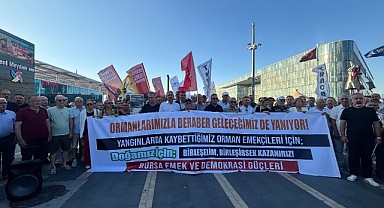 Bursa’da Orman Yangınlarına Tepki Büyüyor