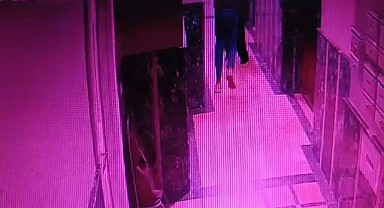 Pendik’te Kadın Cinayeti