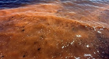 Marmara’da Şaşırtan Görüntü: “Deniz Rengi Değişti”