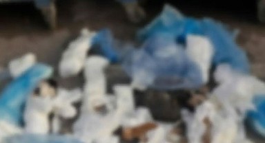 İzmir’de Şok Eden Görüntü