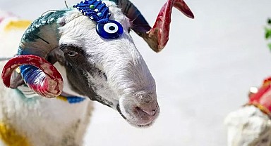 Kurban Bayramı Öncesi Denetimler Sıkılaştırıldı