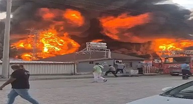 Elazığ’da fabrika yangını