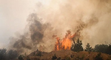 Sındırgı’da Yangın Ormana Sıçradı